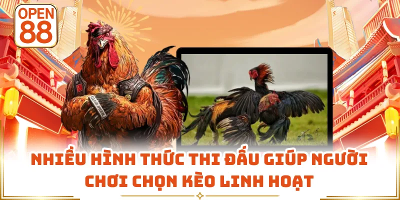 Nhiều hình thức thi đấu giúp người chơi chọn kèo linh hoạt