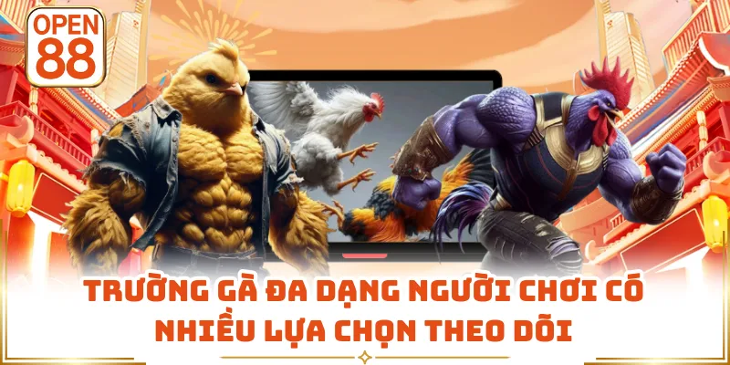 Trường gà đa dạng người chơi có nhiều lựa chọn theo dõi